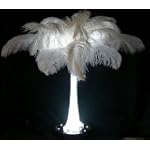 Lot 12 with 300 Deluxe Bleach WHITE Ostrich and Maribou Turkey Feathers-33" Wide Centerpiece-Tower Vase-with 3 lights per vase.