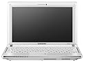 Samsung NC10-14GW 10.2-Inch Netbook (1.6 GHz Intel Atom Processor, 1 GB RAM, 160 GB Hard Drive, 6 Cell Battery, XP Home) White
