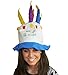 Felt Birthday Cake With Candles Hat - Hilarious Felt Birthday Cake With Candles Hat