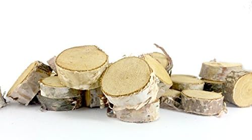 Natural Birch Rounds Small 1-1.5 Inch 25 Pieces