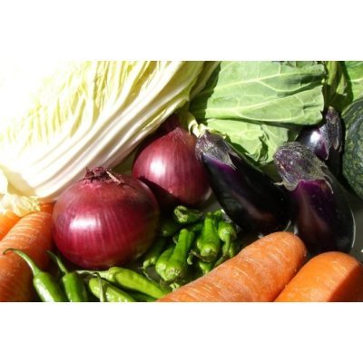 Verger 有機肥料 野菜ソムリエが選んだ:農家のお野菜10品目セット