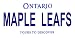 LP-2068 Ontario Canada Province Background License Plates- Maple Leafs