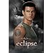 Twilight Eclipse Movie (Jacob) Poster Print - 24x36