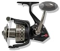Sargus 6000 Spinning Reel