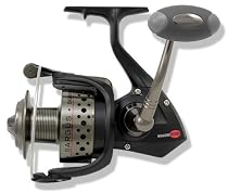 Sargus 6000 Spinning Reel