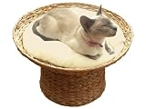 Rosewood - Banana Leaf Raised Sleeper - Cat Bed With Cushion
