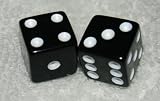 Black With White Dots Opaque Dice Pair