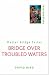 Bridge Over Troubled Waters (Master Bridge Series)