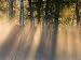 Foggy Sunrise at Tamarac National Wildlife Refuge, near Detroit Lakes, Minnesota, USA...