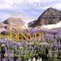 Relaxing Interpretations of John Denver with Nature: Piano & Guitar Solos with Nature
