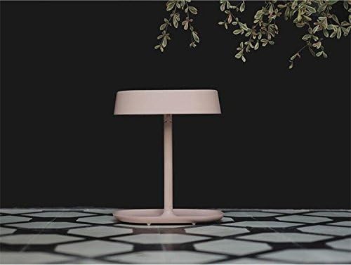 bushair 2-in-1 LED Makeup Mirror Lamp, Table Stand Cosmetic Mirror Night Light, Chargeable Lithium Battery(pink)
