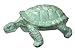 Zoobox ZT-0100F Water Gardening, Turtle, Verdi, Medium