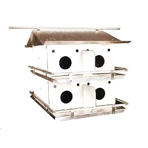 Birds Choice Coates Original 2 Floor-8 Room Purple Martin House by 