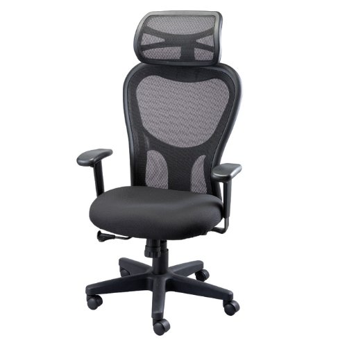 Apollo Mesh Executive Chair with Headrest