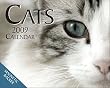 Cats 2009 Mini Day to Day Calendar