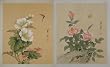 Pair of Original Chinese Watercolors -Vintage Painting of Butterflies and Flowers Pair of Original Chinese Watercolors -Vintage Painting of Butterflies and Flowers