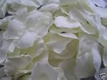 100 IVORY SILK QUALITY ROSE PETALS CO...
