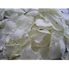 100 IVORY SILK QUALITY ROSE PETALS CONFETTI/WEDDING