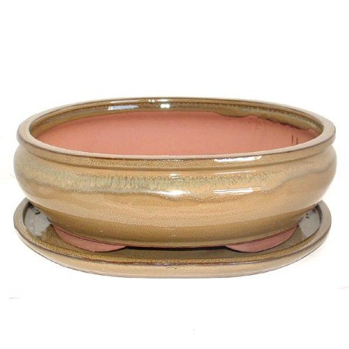 30cm Olive Coloured Glazed Oval Bonsai Pot and 