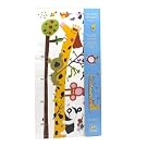 Giraffe Height Chart||RNWIT