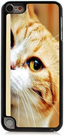 HeartCase Hard Case for Apple itouch 5g 5th Generation ( Cat Cute )