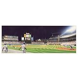 Good Sports Art Atlanta Braves Brave New World Lithograph