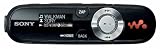 Sony NWZB143B 4GB USB Walkman - Black