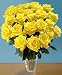 Send Fresh Cut Flowers - 25 Long Stem Yellow Roses