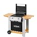 Outback Spectrum 2 Burner Flatbed Gas Barbecue