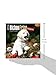 Bichon Frise Puppies 2015 Calendar