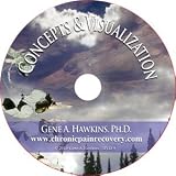 Concepts and Visualization Techniques for Chronic Pain, DVD