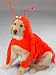 Dog Costume - Maine Lobster Dog Halloween Costume - Large