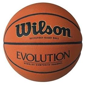 Wilson Evolution Basketball