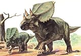 Tamiya 1:35 Chasmosaurus Diorama Set