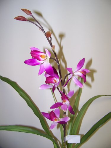 Silk Artificial Orchid Plant Table Decoration Wedding Centerpiece