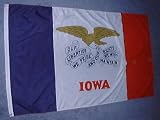 IOWA OFFICIAL STATE FLAG