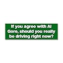 Anti-Global Warming Bumper Sticker