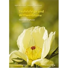 Teufelsfeige und Witwenblume: Historischen Zierpflanzen