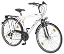 ALU REX Trekkingrad Damenrad 28" (71 cm) 21-Gang Kettenschaltung Nabendynamo