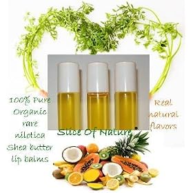 Organic Nilotica Shea Butter Lip Balm. Real Bourbourn Madagascar Flavor. 13ml