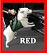 RED - Outward Hound Up and Out Lift Harness