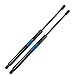 2pcs 6137 Rear Hatch Trunk Tailgate Liftgate Gas Lift Supports Struts Shocks for Nissan Xterra 2005-2013 90450ZL80A 90450EA00