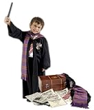 HARRY POTTER DRESSING UP TRUNK - GLASSES, WAND, ROBE, SCARF