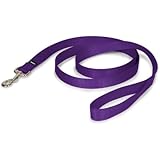 PetSafe Nylon Leash, 1" x 6', Deep Purple