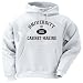 UNIVERSITY OF XXL CABINET MAKING Adult Hooded Sweatshirt (Hoodie / Hoody) Various Colors
