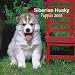 Siberian Husky Puppies 2008 Mini Wall Calendar