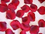Produkt-Bild: ###500 textile Rosenbl&auml;tter, rot###