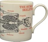 The Human Body Skeleton Coffee Mug (Large)