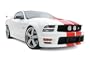 3dCarbon 691035 05-09 Ford Mustang Boy Racer 13pc Ground Effects Kit w/ Boy Racer Wing, Quarter Window Louvers and U-Shape Window Trim