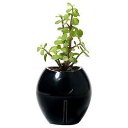 Grobal Baby Self-Watering Flower Pot - Jet Black : Target : self watering flower garden mothers day flower pot